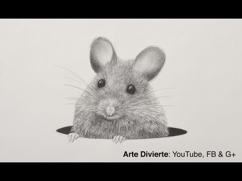 Cómo dibujar un ratón a lápiz - Pelo animal دیدئو dideo