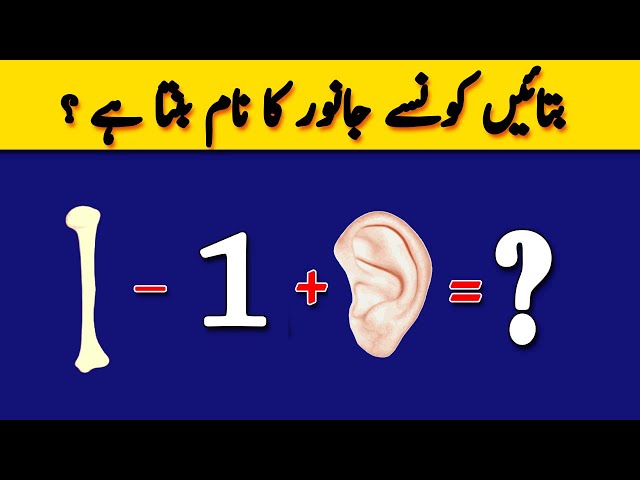 5 Amazing New Riddles & Paheliyan | Guess The Animal Name ? | Common Sense  & IQ Test Only For Genius دیدئو dideo