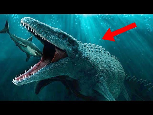 Most TERRIFYING Prehistoric Sea Creatures! دیدئو dideo