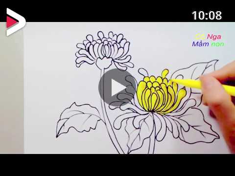 cách vẽ hoa cúc đơn giản
